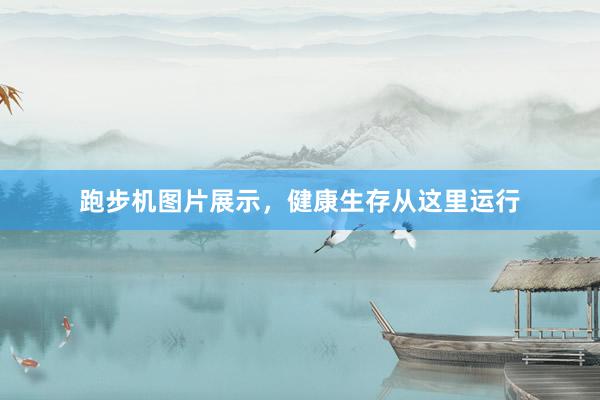 跑步机图片展示,健康生存从这里运行